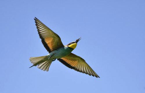 Ferienwohnung "Am Geiseltal" - Foto 17