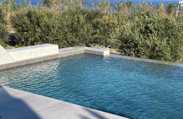 Phaos at Saint John Villas with private heated pool - Photo 6