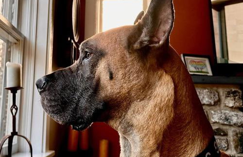 Homestead Upper Bucks - No Pet Fees - Foto 17