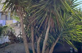 Campofelice Casa vacanza - Foto 6