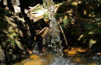 Pousada Sitio Gan Eden - Foto 58