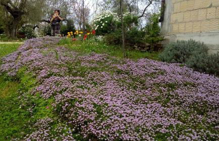 Agriturismo Via del Campo - Foto 13