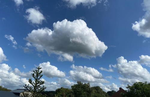 natuurleev - Photo 19