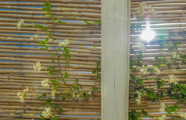 TD Casette Pricci Casetta Lavanda - Foto 13