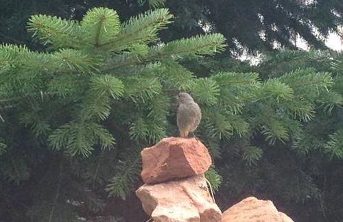 Haus Marta - Photo 61