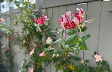 Cosmopolitan am Schlosspark - Foto 27