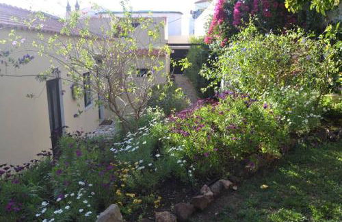 Garden in the City - Photo 3