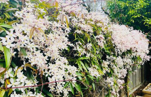 Charming Garden Cottage - Photo 18