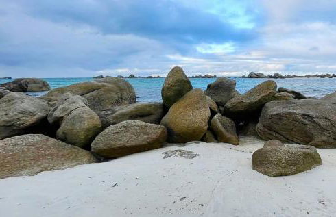 Maison Maillots et Bigorneaux, 15 pers, jacuzzi, 40m de la mer - Foto 38