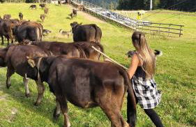 Very Nice Appartment for 4, Marilleva 900, Val di Sole - Foto 79