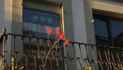 Casa del Podestà - Foto 5