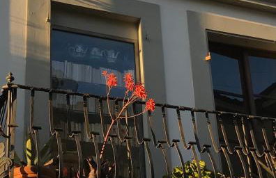 Casa del Podestà - Foto 5