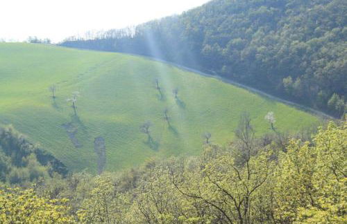 Chiesa Ignano 1778 - Photo 72