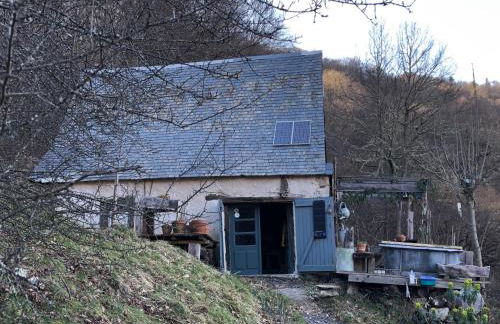 Une nuit en CABANE dans la Forêt - Photo 3