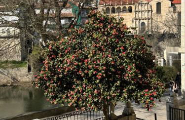 Casa do Ribeirinho - Foto 1