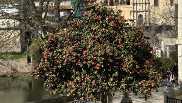 Casa do Ribeirinho - Photo 1