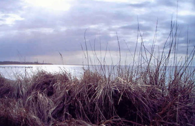 Sunny Garden Retreat, Neubukow - Photo 26