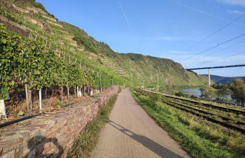 Rheinuferhaus - Foto 49