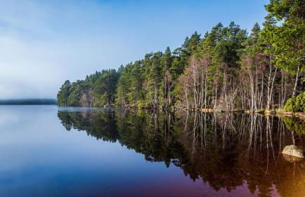 Osprey Apartment - Foto 44