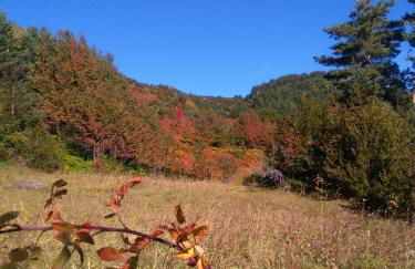 La Borda de Garbi - Photo 22