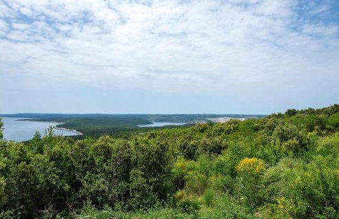 Stunning Apartment In Koromacno - Foto 17