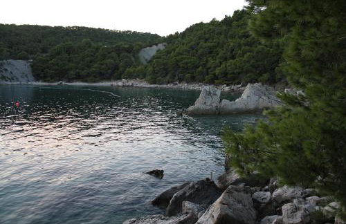 Apartments Plazibat - Photo 33