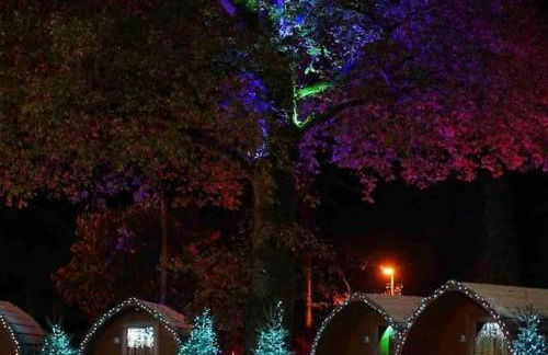 New Forest lodge - 194 NO PETS - Photo 30