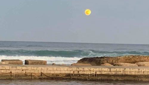 Il cortile sul mare - Foto 5