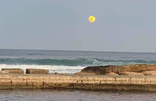 Il cortile sul mare - Foto 5