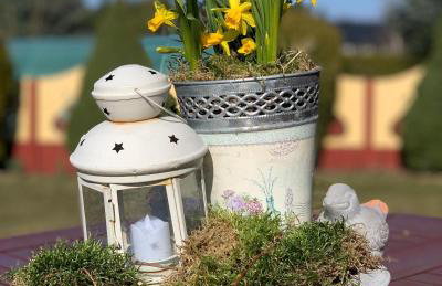 Agro na Wapniarni - Foto 35