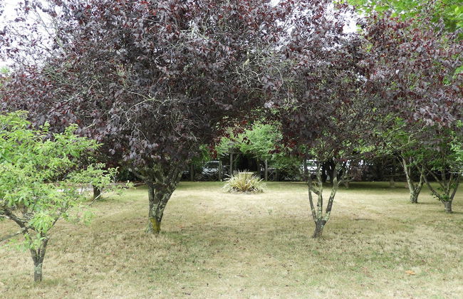 Somerset Caravan Park - Foto 53