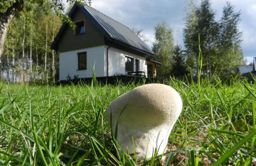 Na Skraju Szlaków - Foto 3