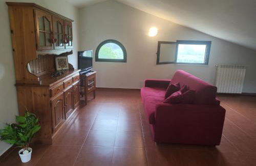 Giardino degli ulivi - Foto 32