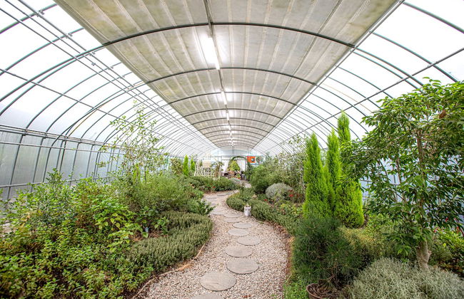 GoChang Well Park City Healing County - Photo 44