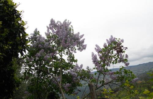 La Corte del Frate - Foto 9