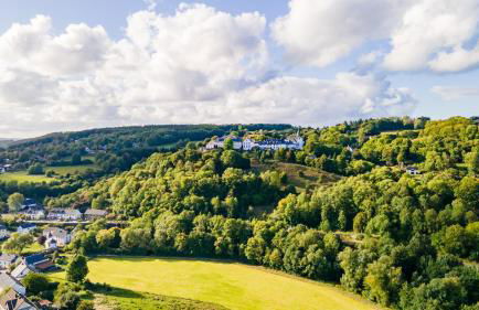 Ferienhaus Kronenburg - Foto 65