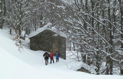 Agriturismo la Fattoria al Crocefisso - Foto 15