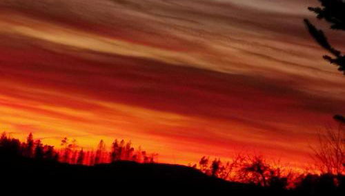 Ferienwohnung Am Blessberg in Stelzen - Foto 2