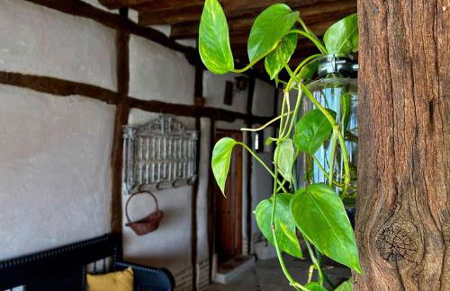 La Manzana - Foto 22