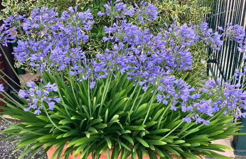 Casale el galet - Foto 78