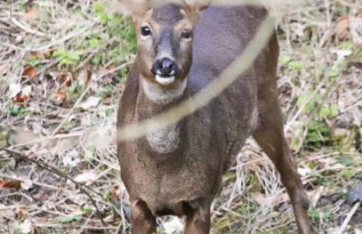Woodroyd apartments - Foto 23