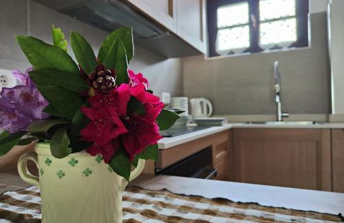 Feluca Porto - Photo 12