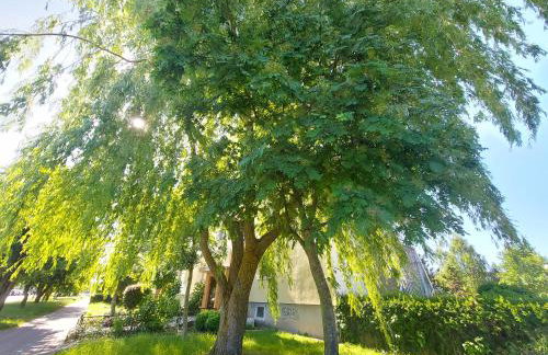 Wygodny Przestronny Apartament Janowskie Błonia Rumia - Foto 51