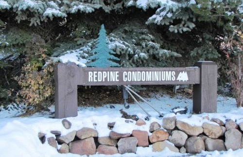 Dont miss the Main level Cozy Winter Retreat - Photo 10