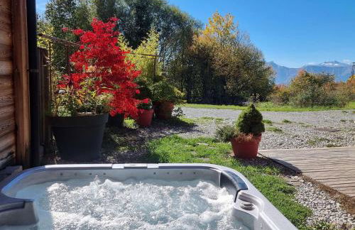 Chalet cosy 6 pers avec SPA, terrasse sud, proche station ski, animaux admis - FR-1-393-16 - Foto 8