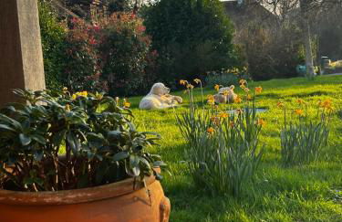 Stylish Cabin in East Sussex near Newhaven ferry - Foto 3