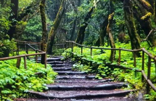 Casa Tajaraste 1 - Foto 39