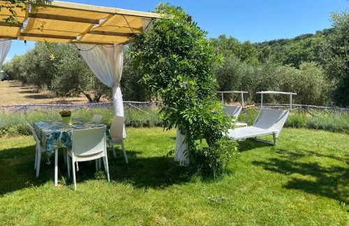 Tenuta Le Mandorlaie, Agriturismo in Scansano - Foto 61