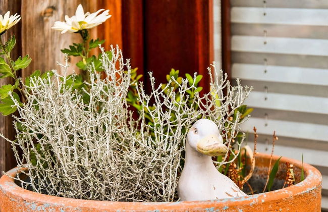 Modernes Ferienhaus in Thorstorf mit Sauna - Foto 27