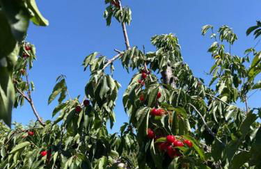 Newly Renovated Lakefront with Dock - Foto 30